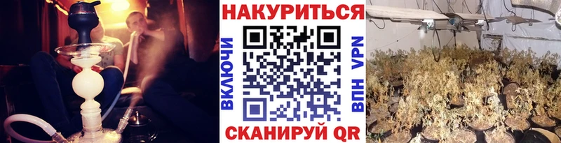 купить наркотик  Суджа  Марихуана VHQ 